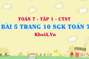 Bài 5 trang 10 SGK Toán 7 tập 1 Chân trời sáng tạo